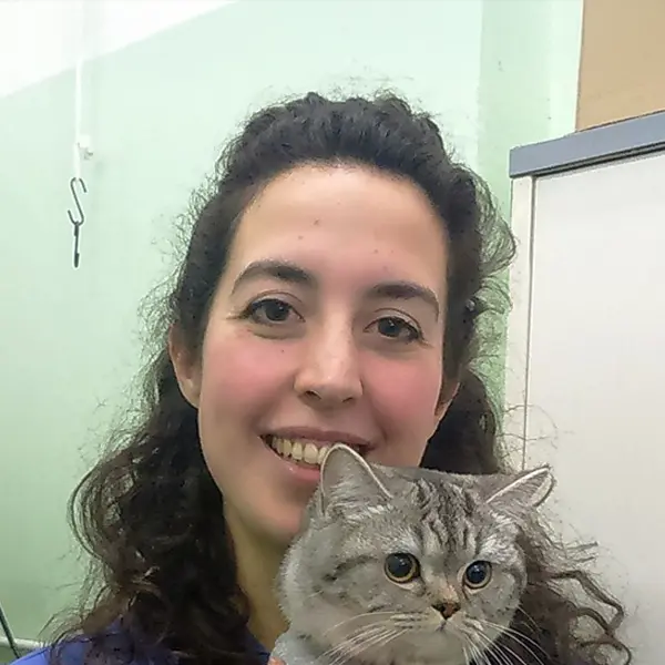 Dynamic Content Image